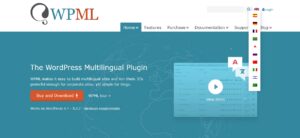 Multilingual Website Design